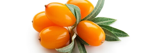 L'huile de pépins d'Argousier